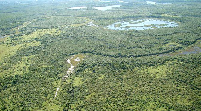 Imasul alerta para o transbordamento do rio Miranda nas próximas 24h