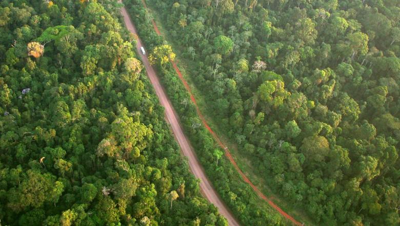 Novo Código Florestal pode prejudicar produtor