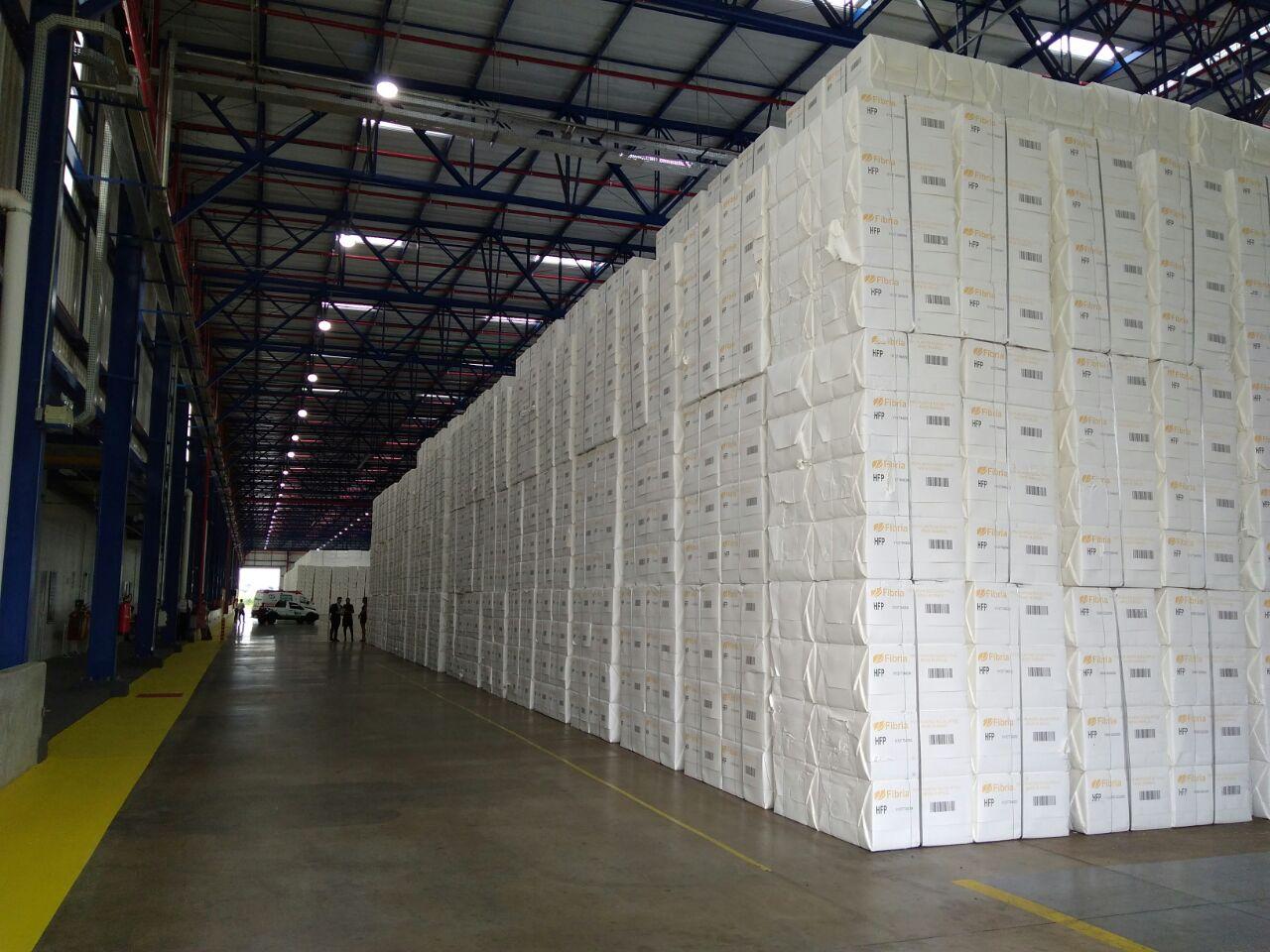 Exportações sobem 14,3% no bimestre e celulose lidera