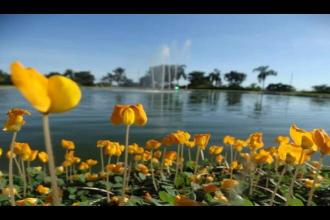 Domingo de Dia das Mães será de muito sol