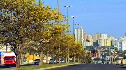 Em MS, 55 prefeituras fecharam com as contas no azul