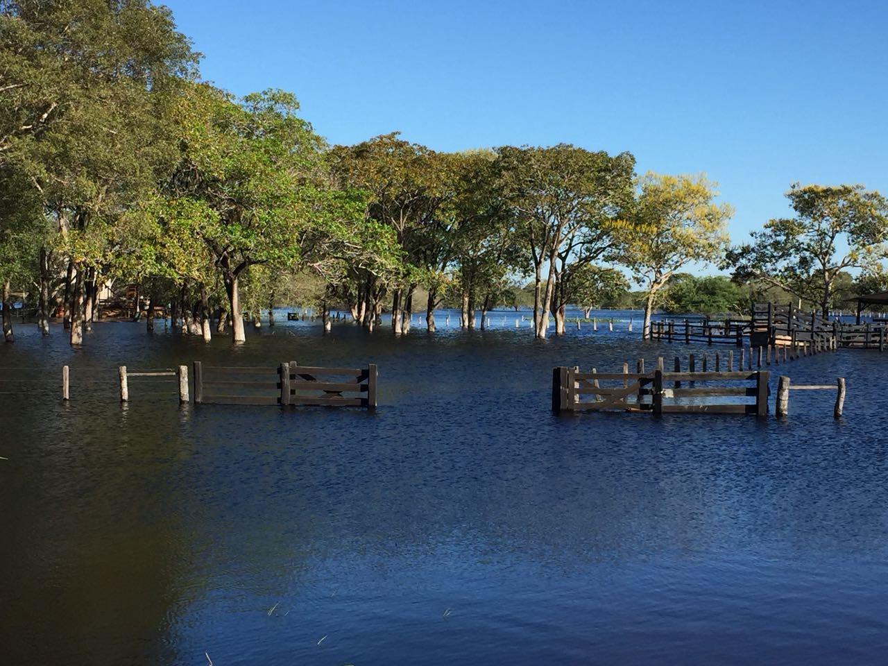 Supercheia se confirma e Pantanal já sofre prejuízos