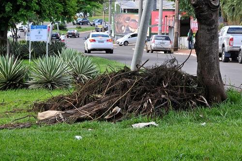 Malcuidadas, áreas adotadas por empresas são retomadas