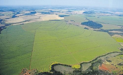 Governo amplia prazo para cadastramento do CAR