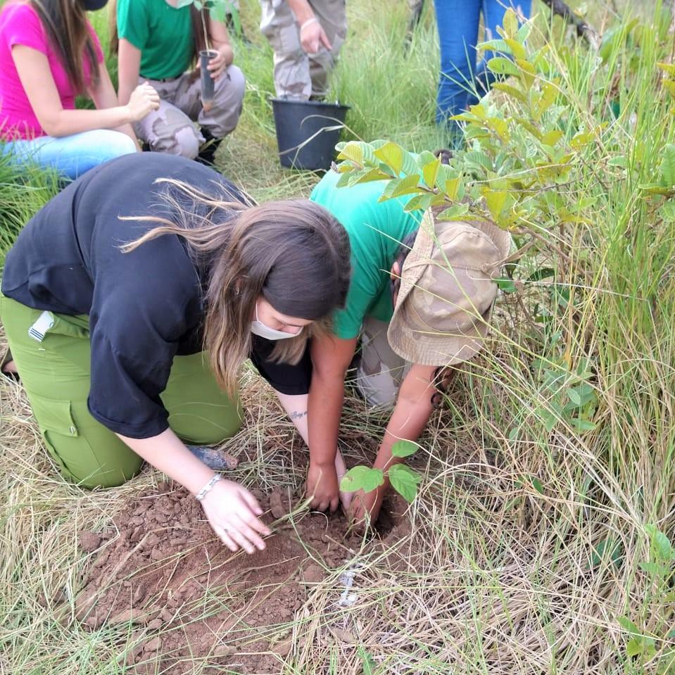 75 mudas de árvores nativas plantadas marcam os anos de Jardim, durante evento ambiental