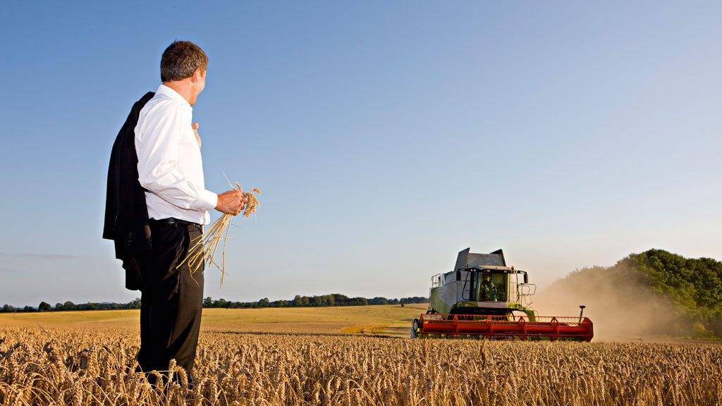 ARTIGO: Descomoditização - A importância da marca no agronegócio